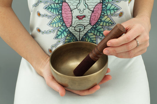 Finding Harmony and Healing: A Guide to Choosing the Perfect Singing Bowl for Nalo Healing
